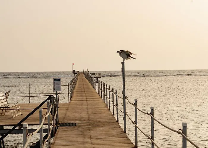 Blend Elphistone Marsa Alam 4*