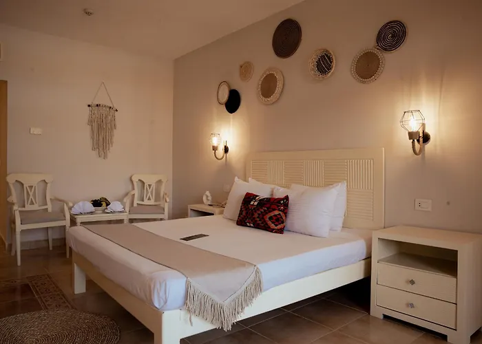 Blend Elphistone Marsa Alam
